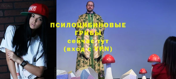 прущий лед Корсаков