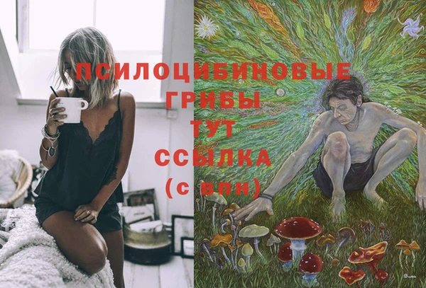 прущий лед Корсаков