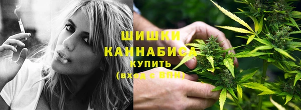 прущий лед Корсаков