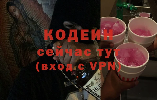 прущий лед Корсаков