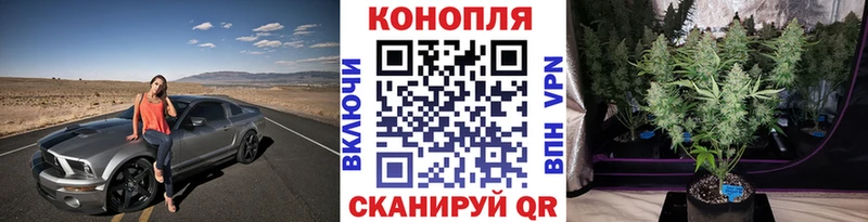 МАРИХУАНА гибрид  Купить где  Полярный 